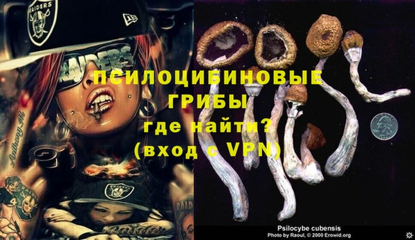 тгк Михайловка