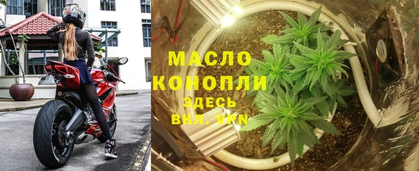 гидра Михайловск