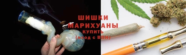гидра Михайловск