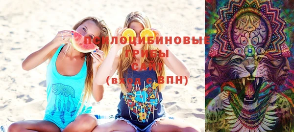 шишки Михайлов