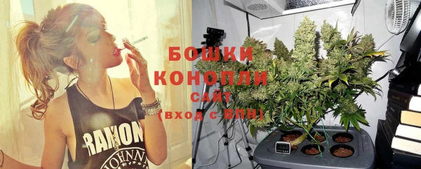 гидра Михайловск