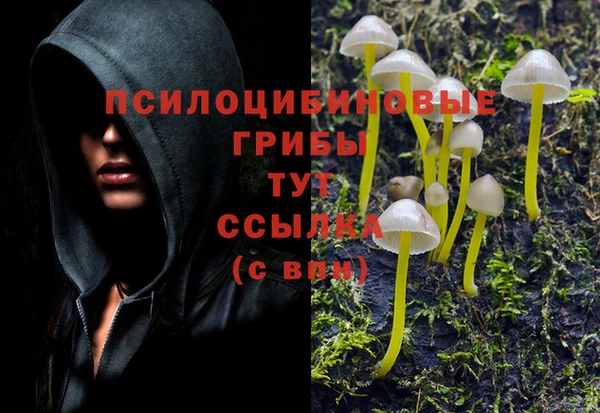 гидра Михайловск