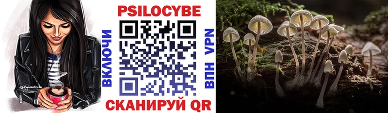 Галлюциногенные грибы Psilocybe  OMG ONION  Фёдоровский 